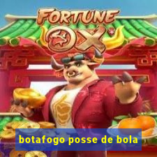 botafogo posse de bola